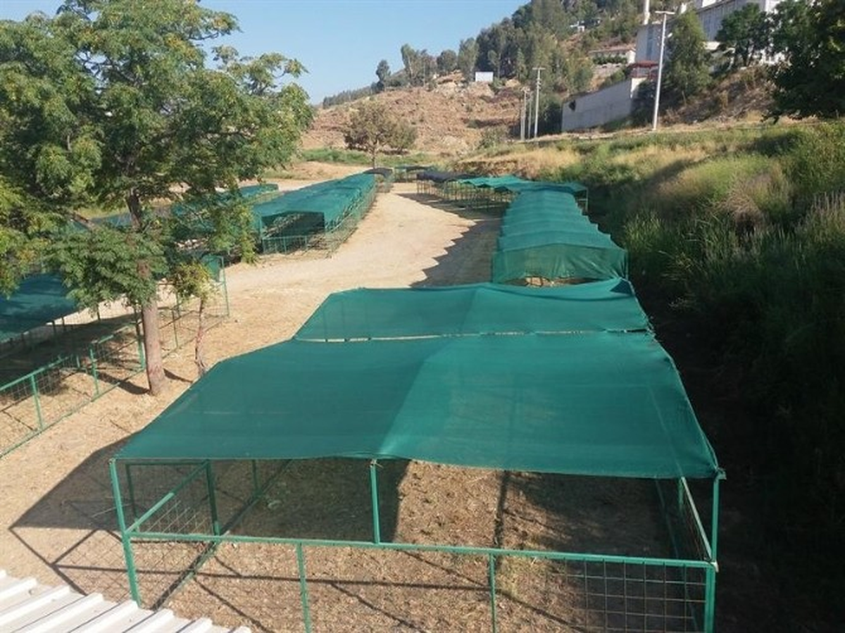 Anamur\'da Kurban Satış Pazarı Hazır
