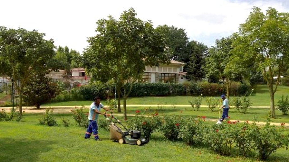 Yeşil Alanlarda Periyodik Bakım Devam Ediyor