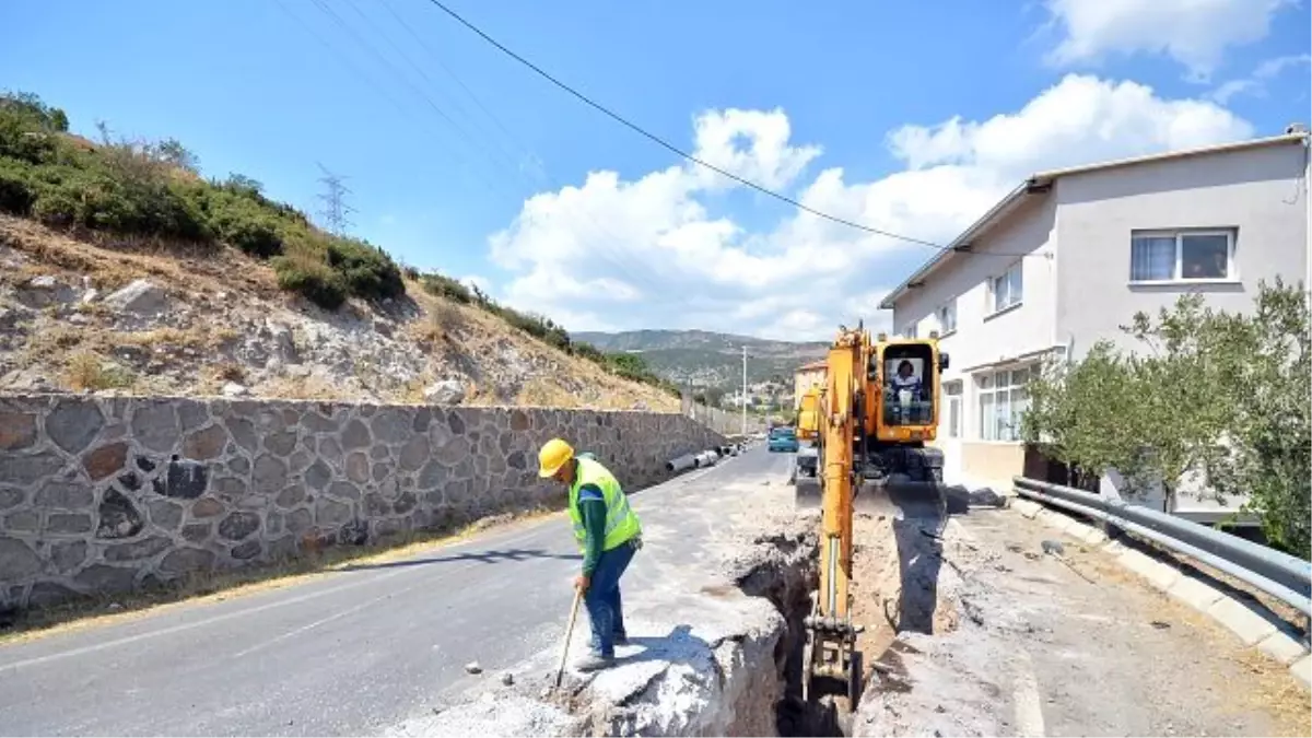 Başarılı Genç Tenisçiler