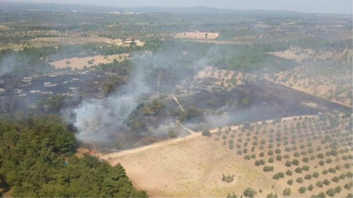 Çanakkale\'de Orman Yangını