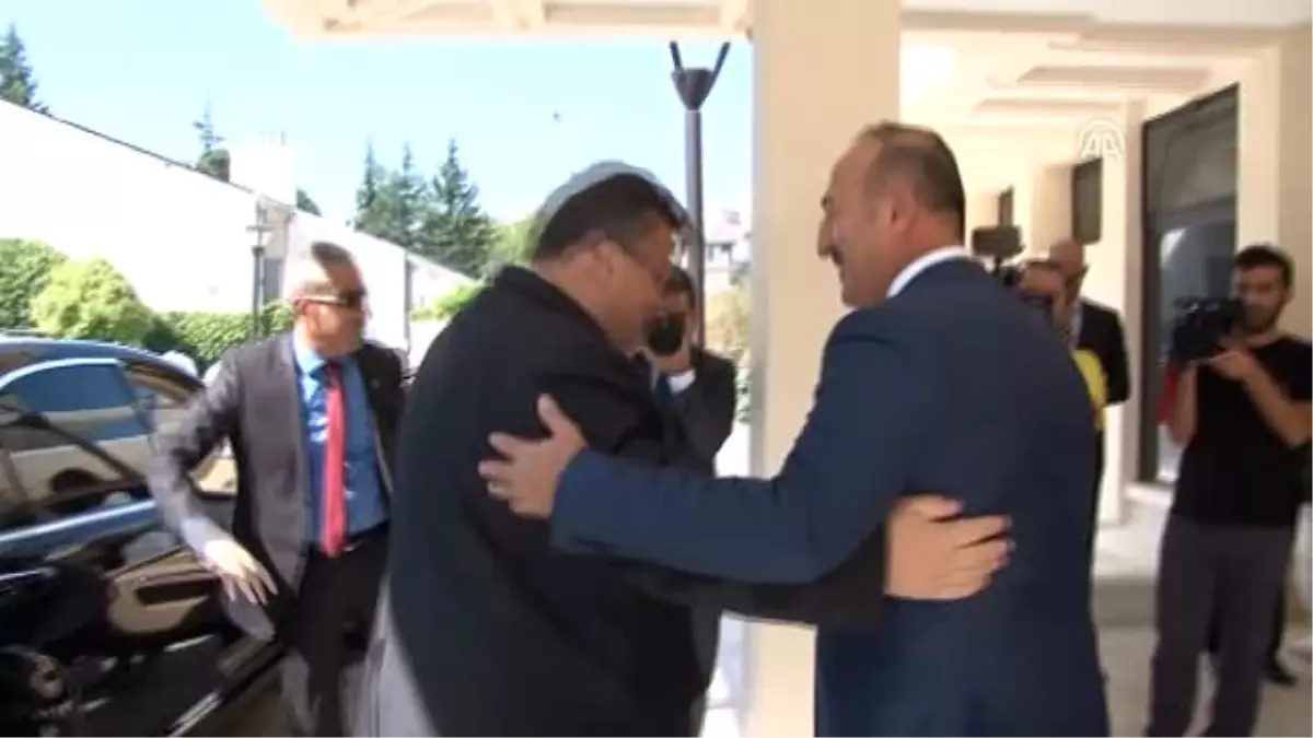 Çavuşoğlu-Linkevicius Görüşmesi