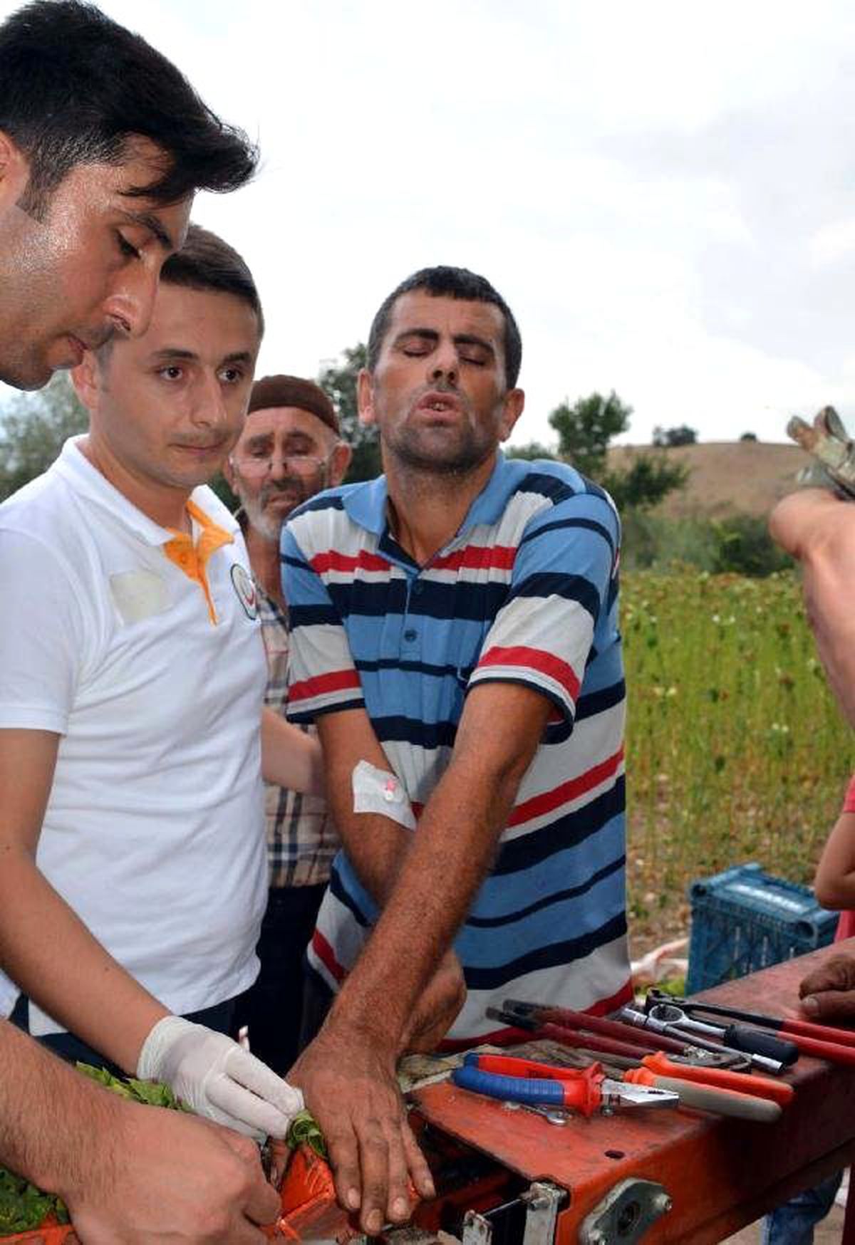 Tütün Dizme Makinesi İğneleri Eline Saplandı