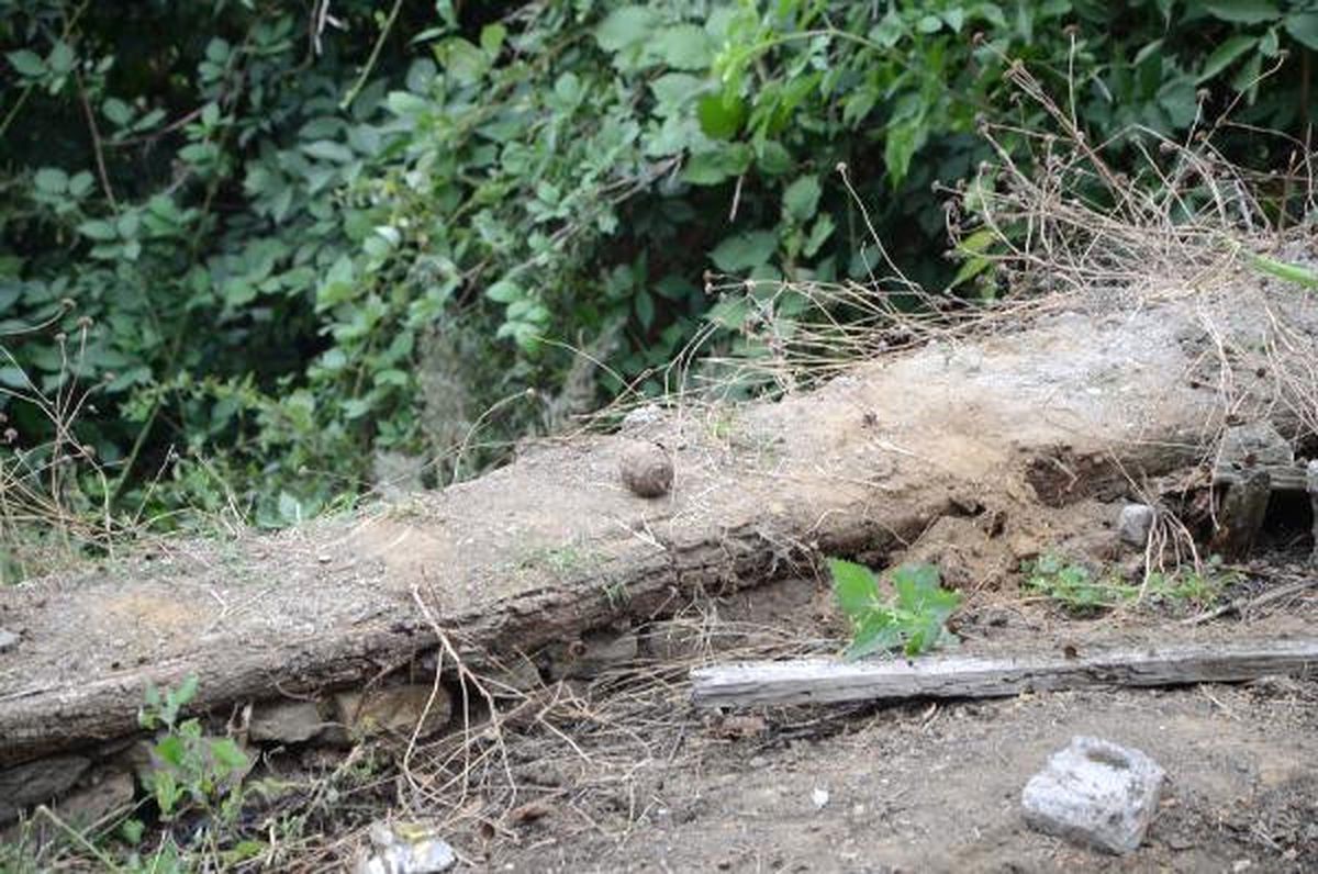 İnşaat Alanında Bulunan El Bombası, İmha Edildi