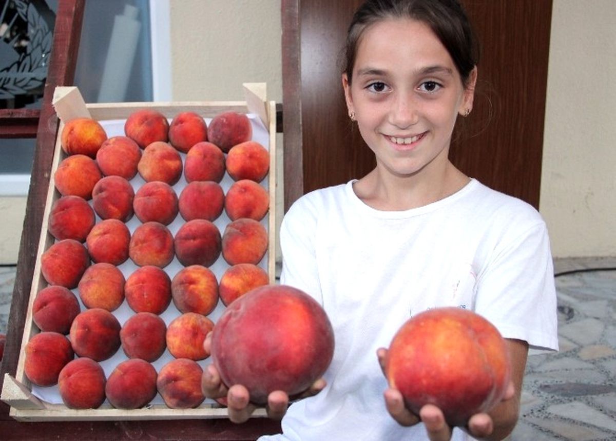 Rusya Dört Gözle Bu Şeftalileri Bekliyor