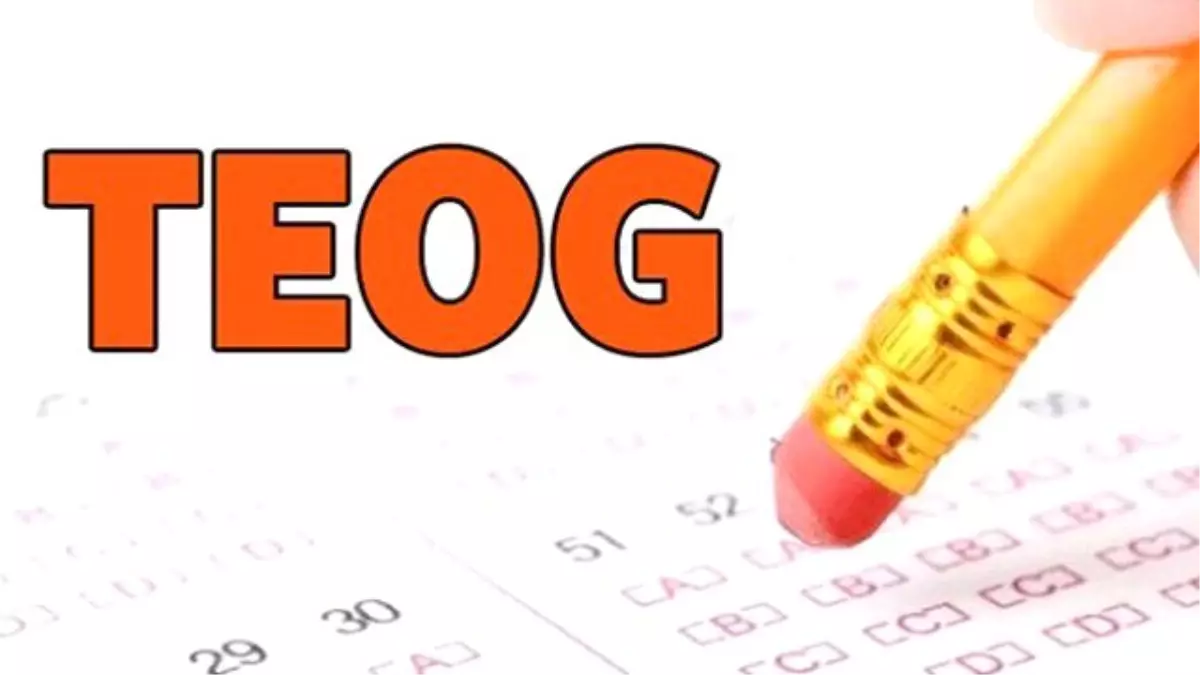 TEOG 1. nakil sonuçları,MEB sonuç sorgulama ekranı...