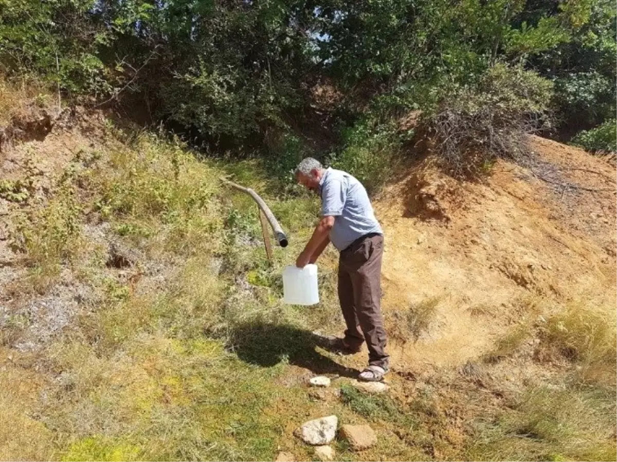 Zile Mahallesindeki Acısu Piknikçilerin Mekanı Oldu