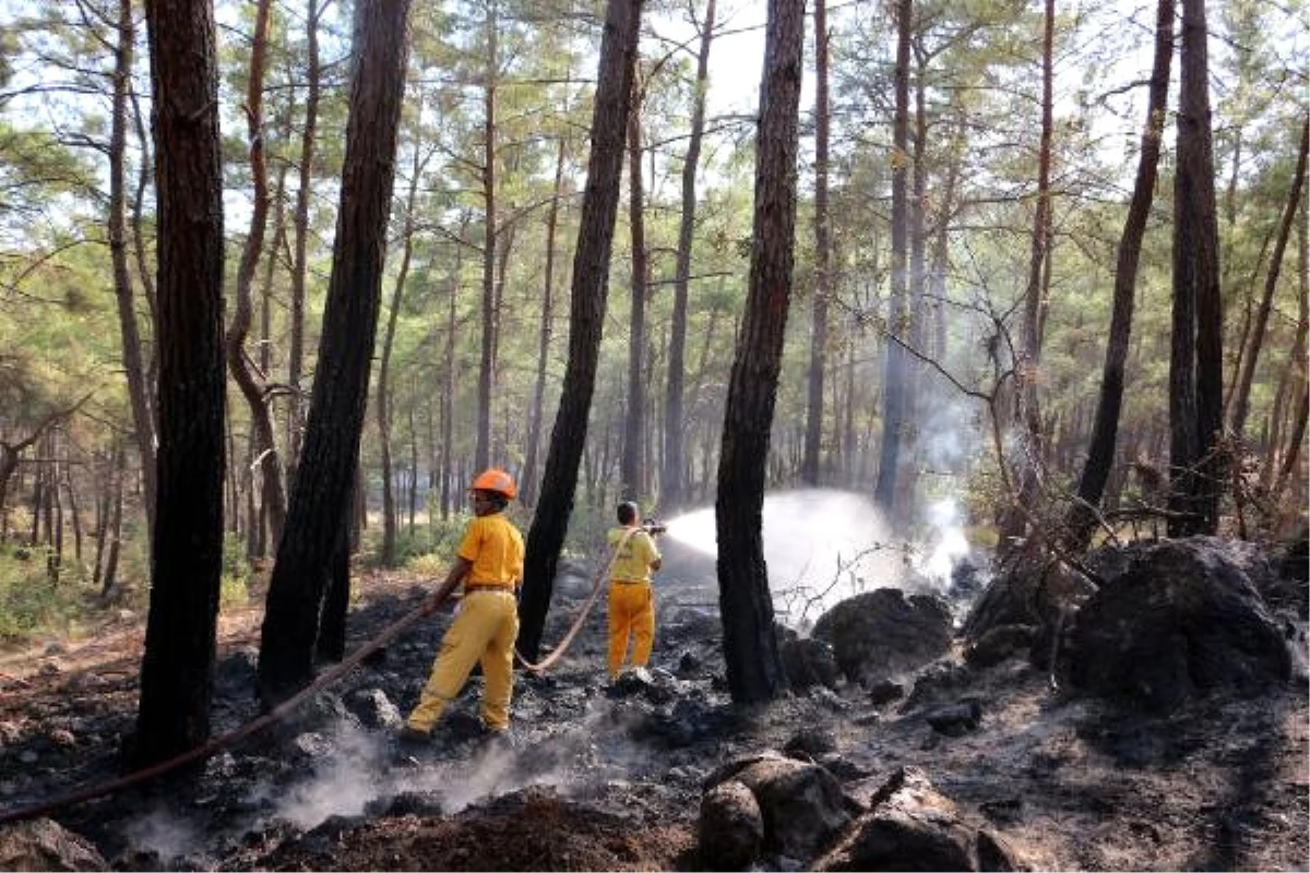 Alanya\'da Orman Yangını (2)