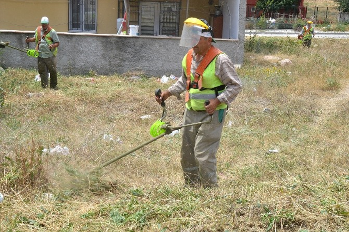 Boş Arazilerdeki Otlar Güvenlik İçin Biçiliyor
