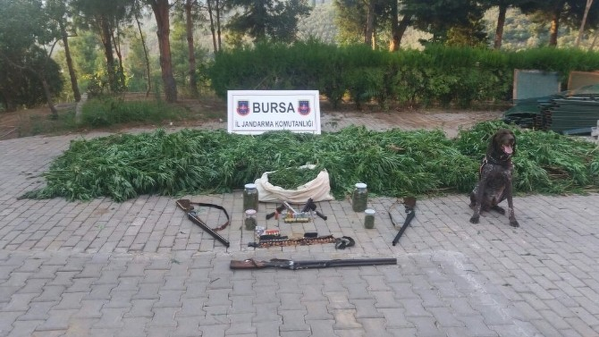 Bursa\'da Uyuşturucu Operasyonu: 5 Gözaltı