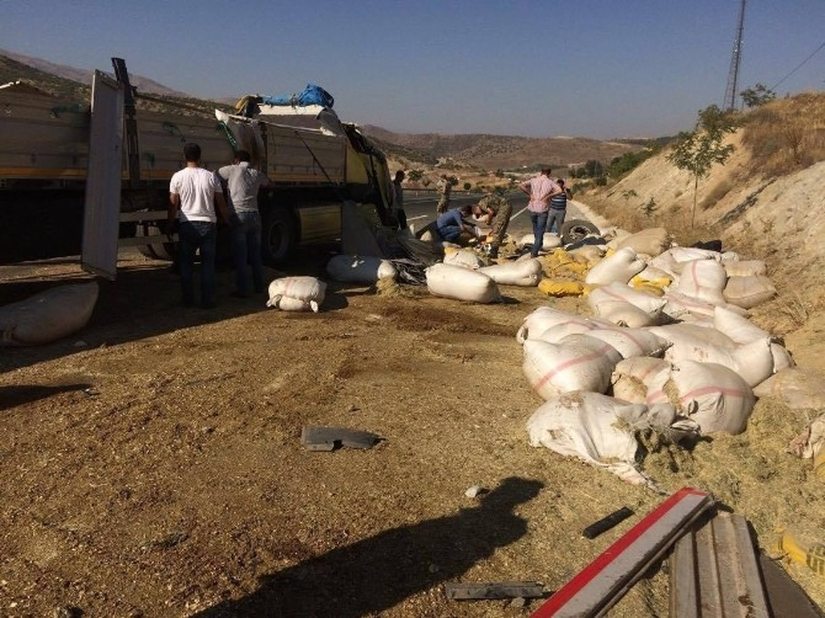 Elazığ\'da Tır Devrildi: 3 Büyükbaş Havan Telef Oldu