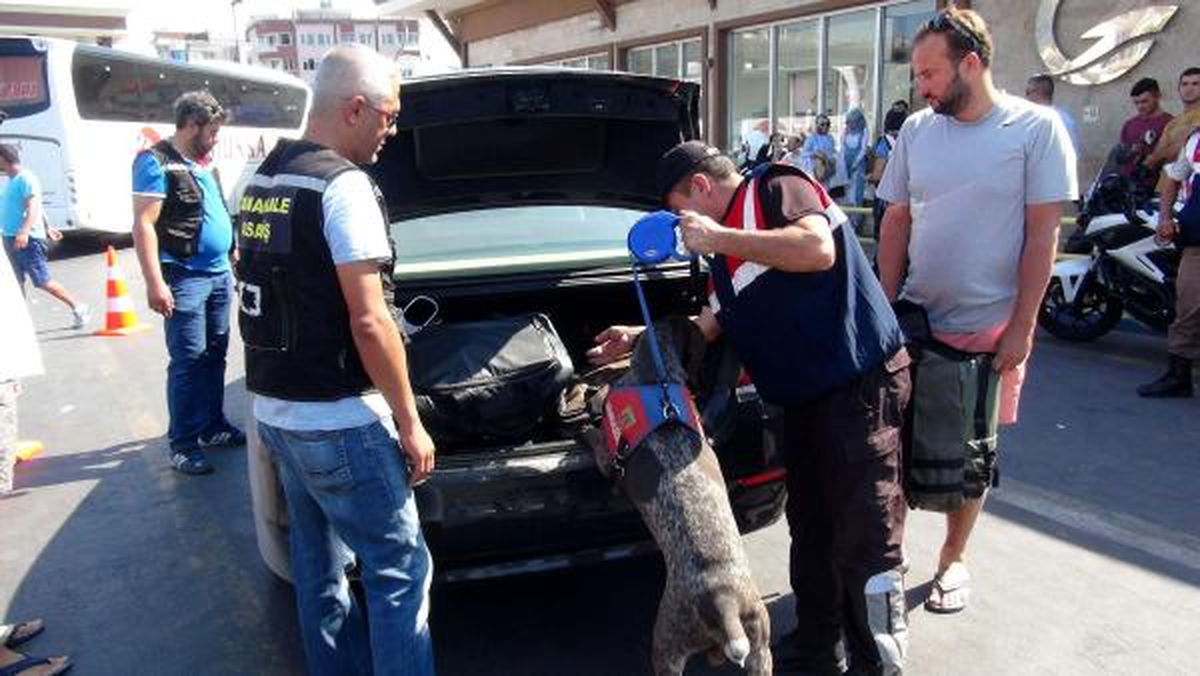 Feribottan Çıkan Araçlar Köpekle Aranıyor