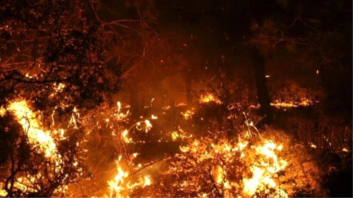 Güncelleme - Adana\'da Orman Yangını