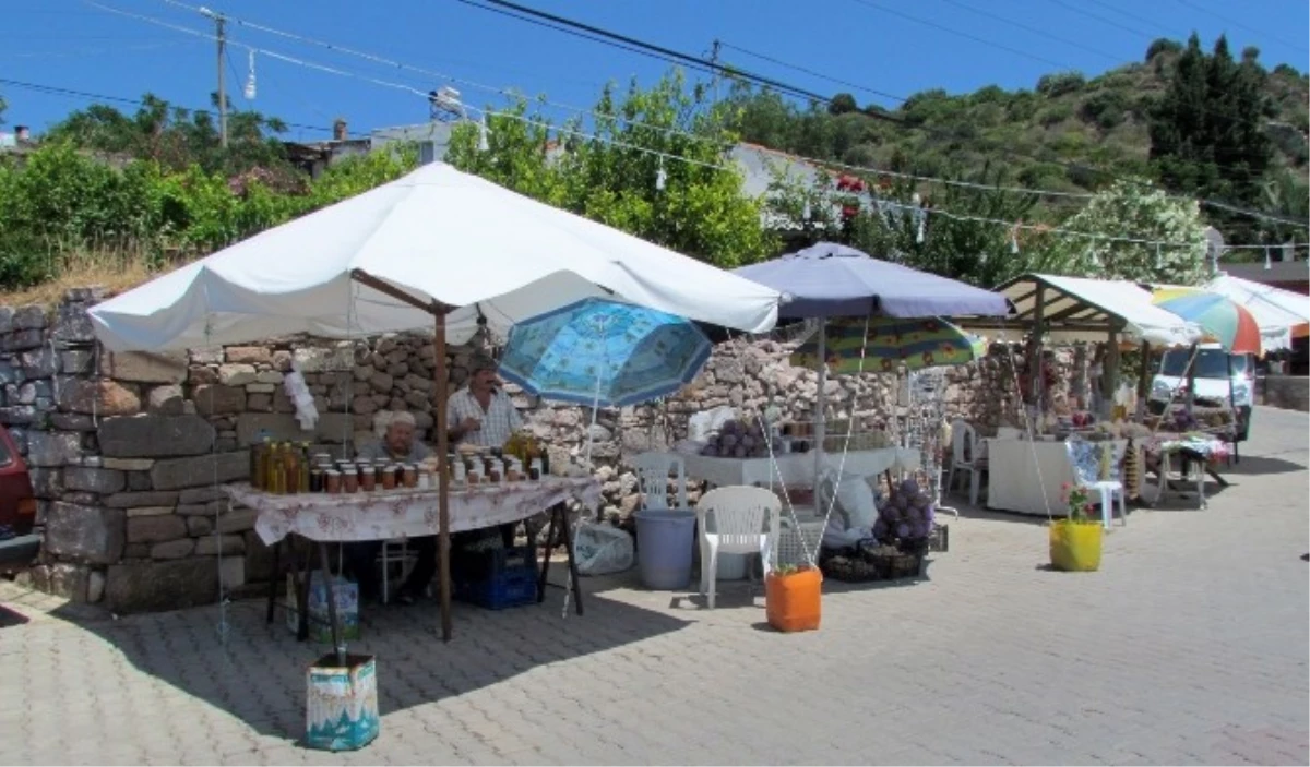 Ildır Kültür ve Sanat Festivali'nin Hazırlıkları Tamamlandı