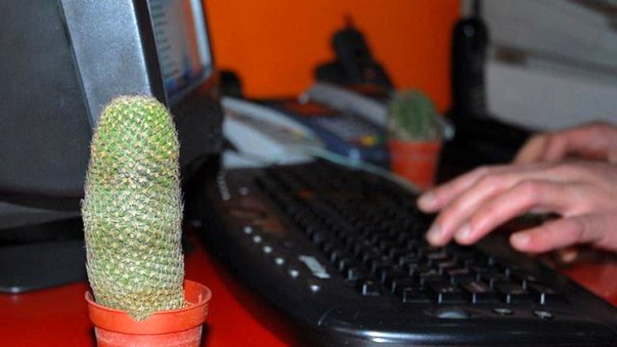 Kaktüs Odayı Radyasyondan Arındırmaz"