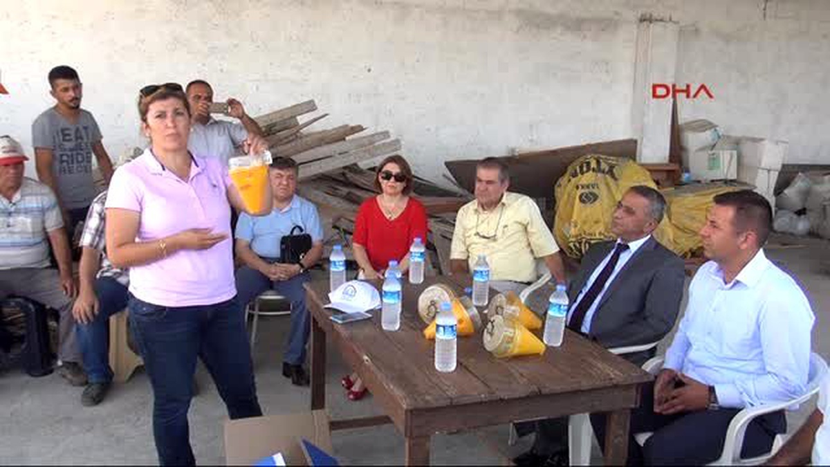 Osmaniye Narenciye Bahçelerine Sinek Tuzakları