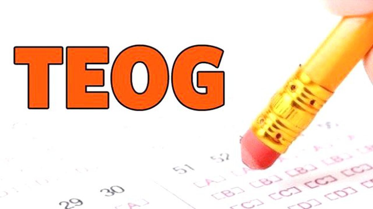TEOG 1. nakil sonuçları,MEB sonuç sorgulama ekranı...