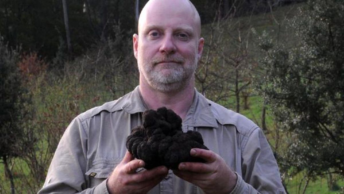 Yetiştirdikleri Mantar İçin 3000 Dolar İstedi