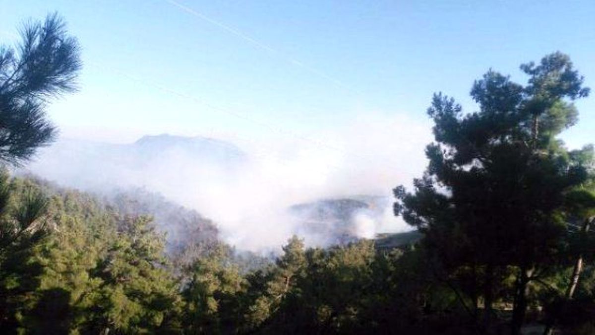 Akhisar\'da Orman Yangını (2)