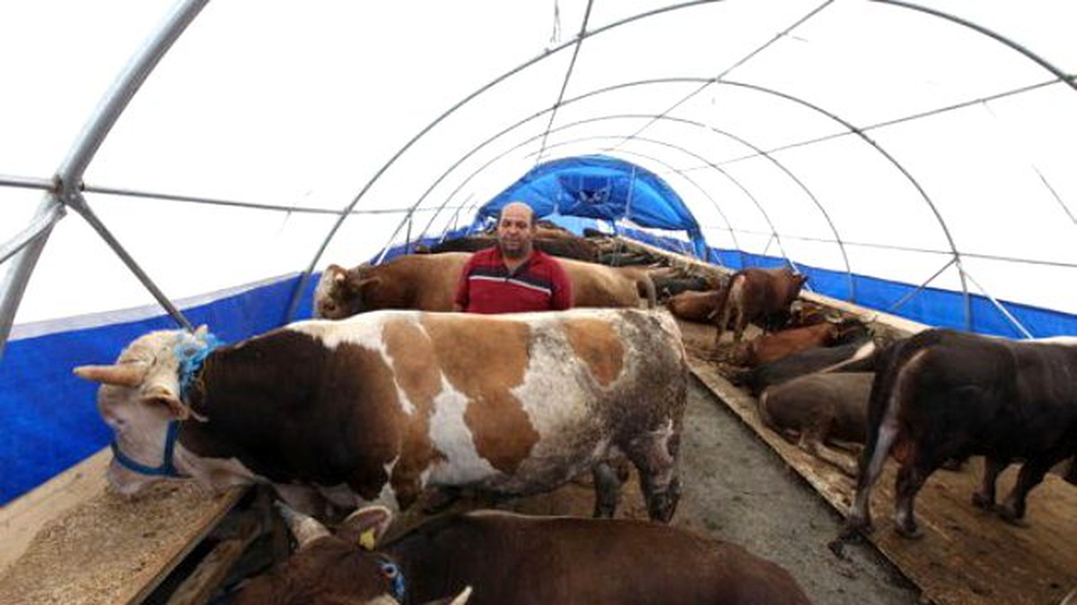 Kurban Bayramı\'na Doğru