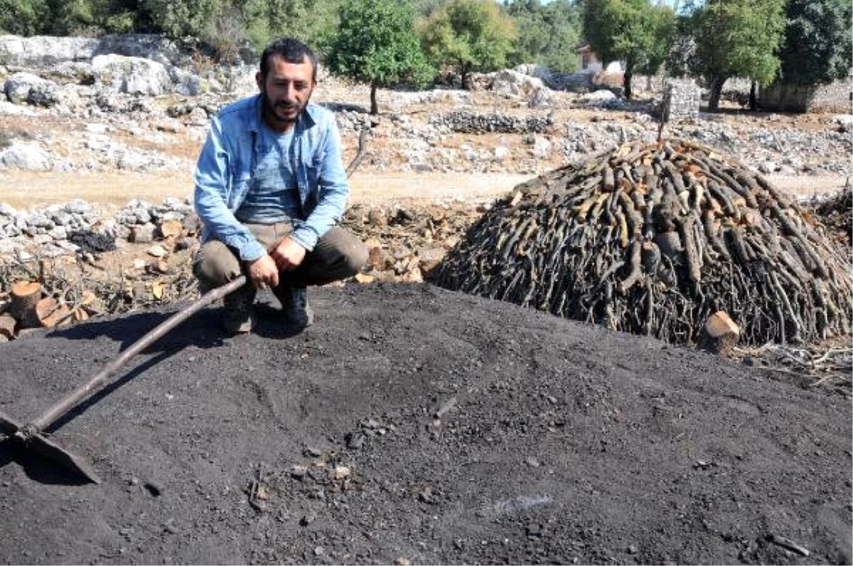 Odunu Kömüre Dönüştürerek Ekmek Parası Kazanıyorlar