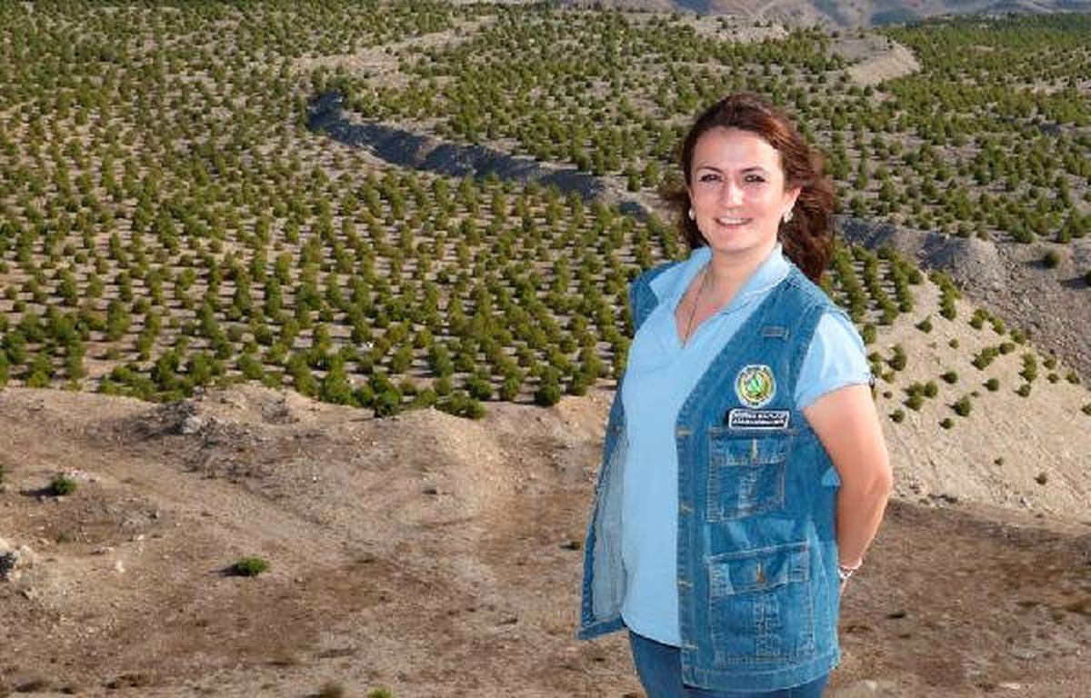 Ormanlara Kadın Eli