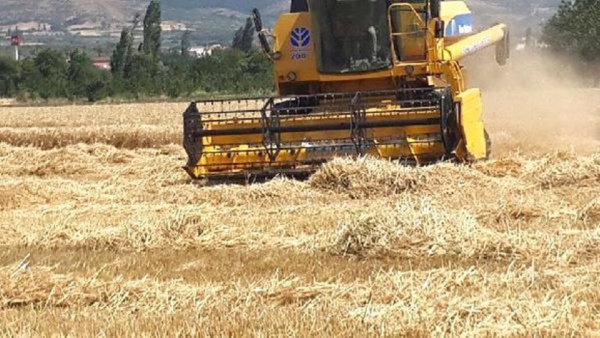 Hububatçılar İhracatı Yüzde 18 Artırdı