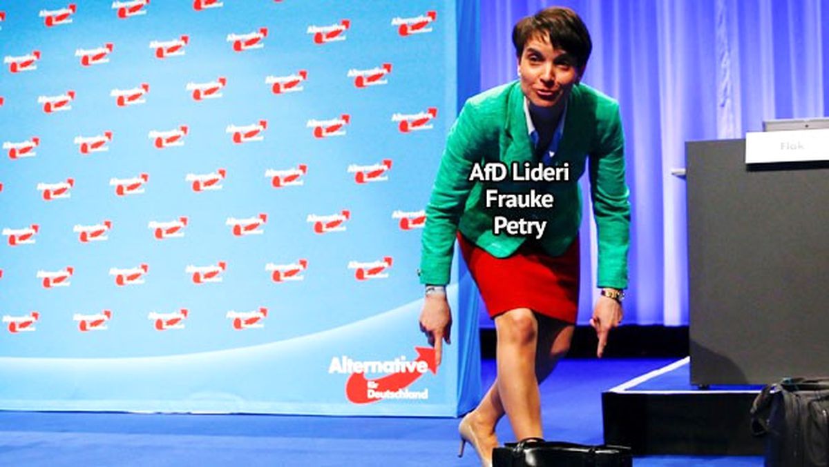 İşte Afd\'nin Seçmen Profili