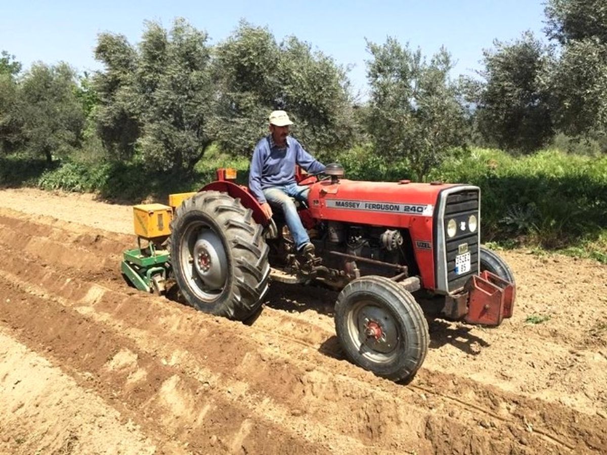 Silajlık Mısırda İkinci Ekim