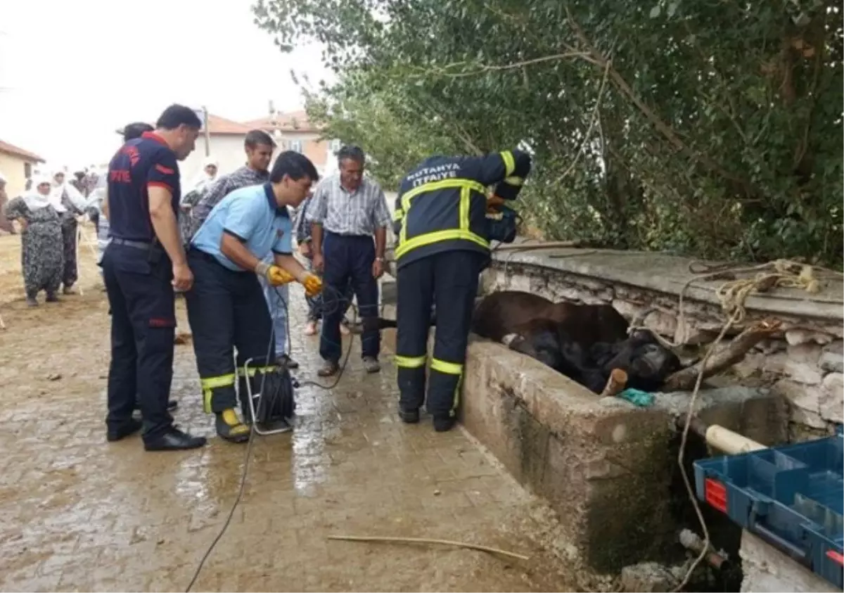 Su Yalağına Sıkışan İneği İtfaiye Ekipleri Kurtardı