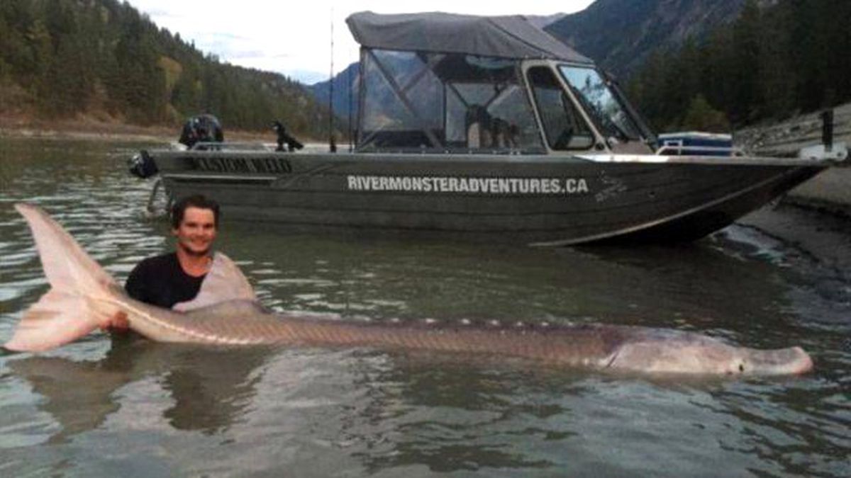 Efsanevi 'Domuz Burun' Yıllar Sonra Yakalandı