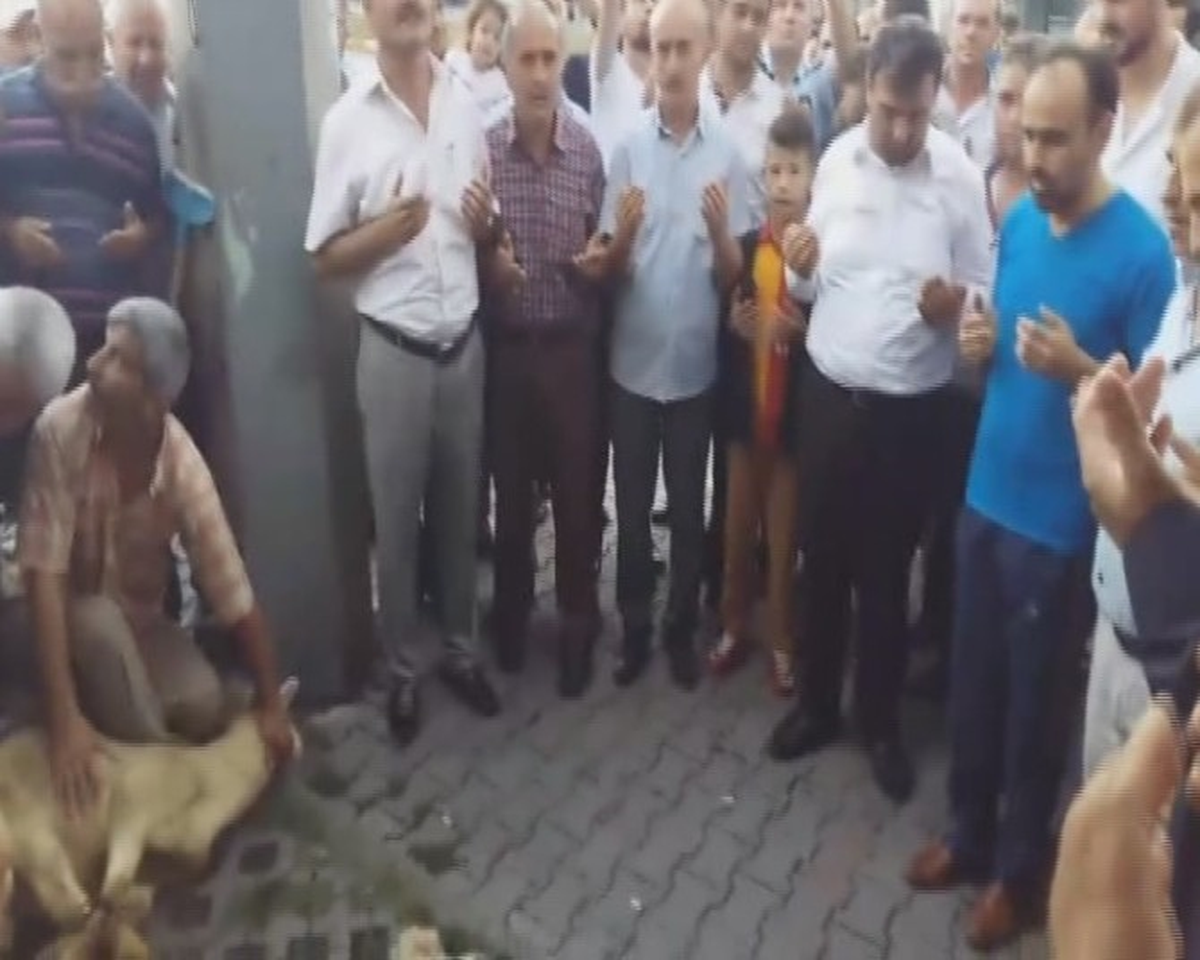 Fetö Soruşturmasında Serbest Bırakılan Belediye Başkanı Kurban Kesti