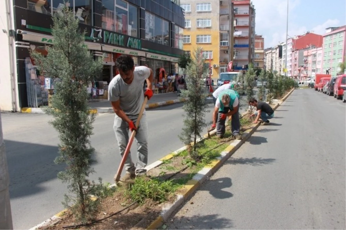 Giresun\'da Yeşil Alanların Temizliği Yapılıyor