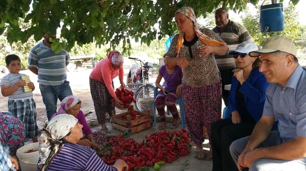 Kadıoğlu, Biber Üreticilerini Ziyaret Etti