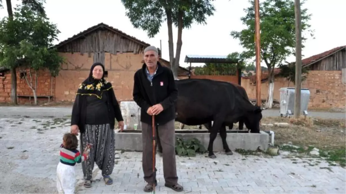 Bu Defa Sevinçten Ağladılar