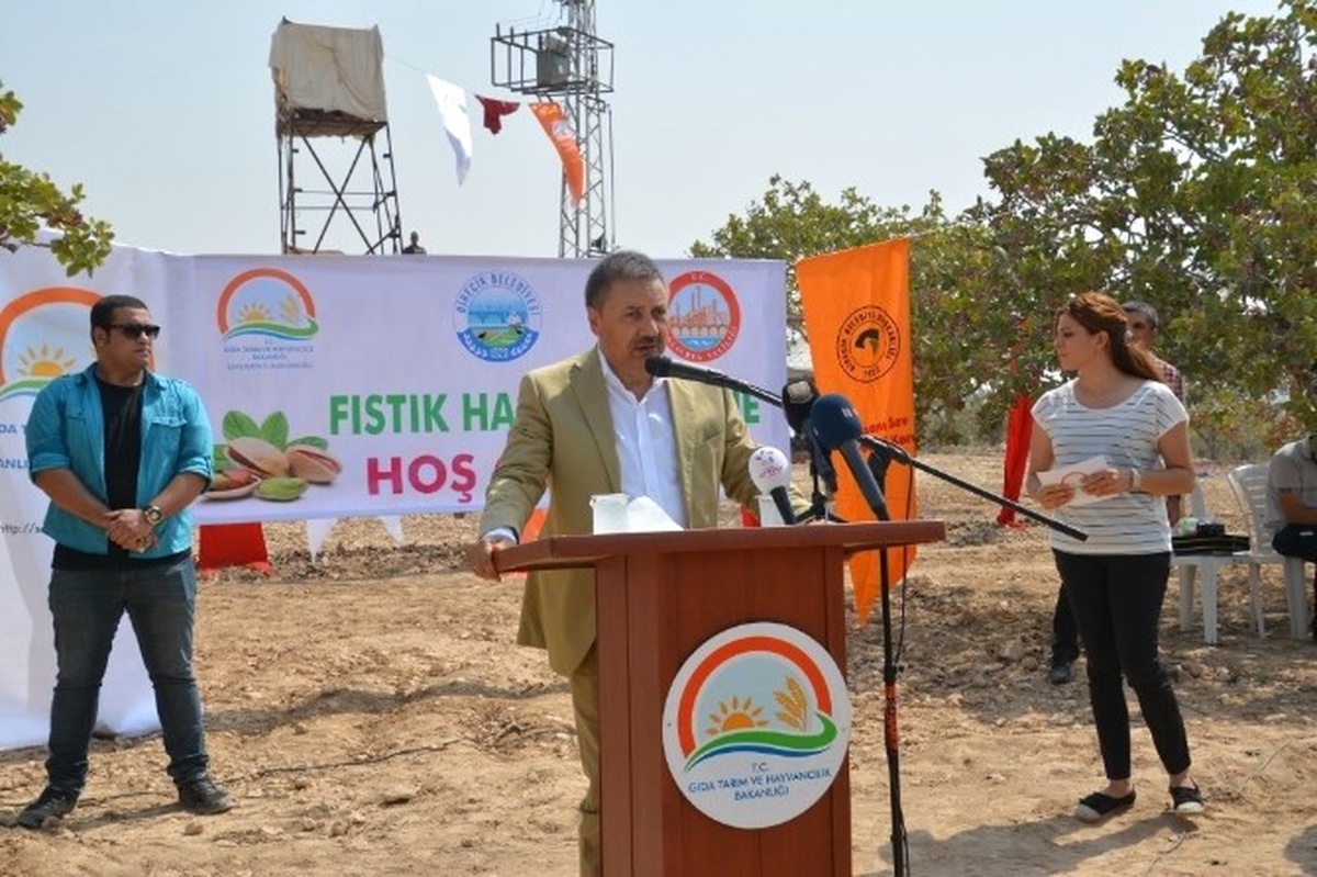 Fındığa Verilen Destekten Fıstık Üreticisi de İstiyor