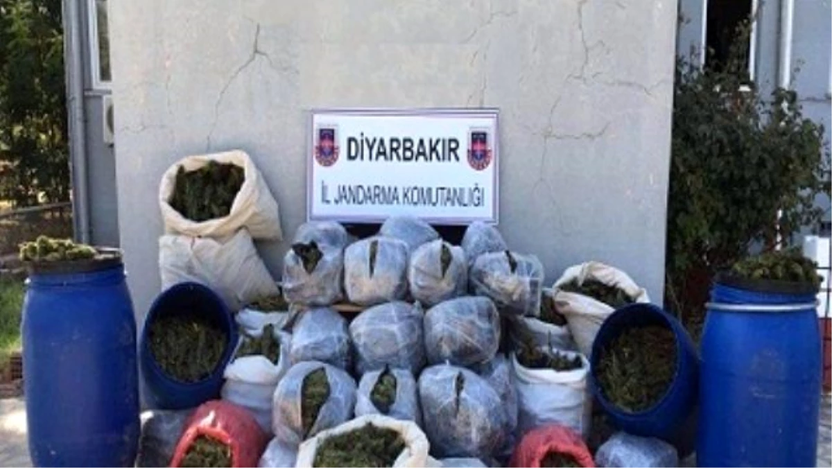 Kocaköy Kırsalına Uyuşturucu Operasyonu
