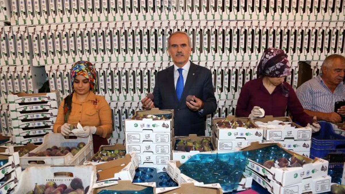 Tarım AŞ\'den İlk İhracat Almanya\'ya