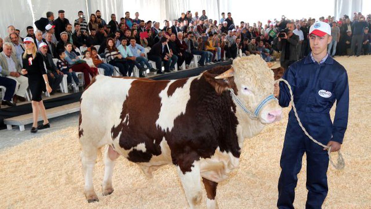 Uşak\'ta yeni dönem