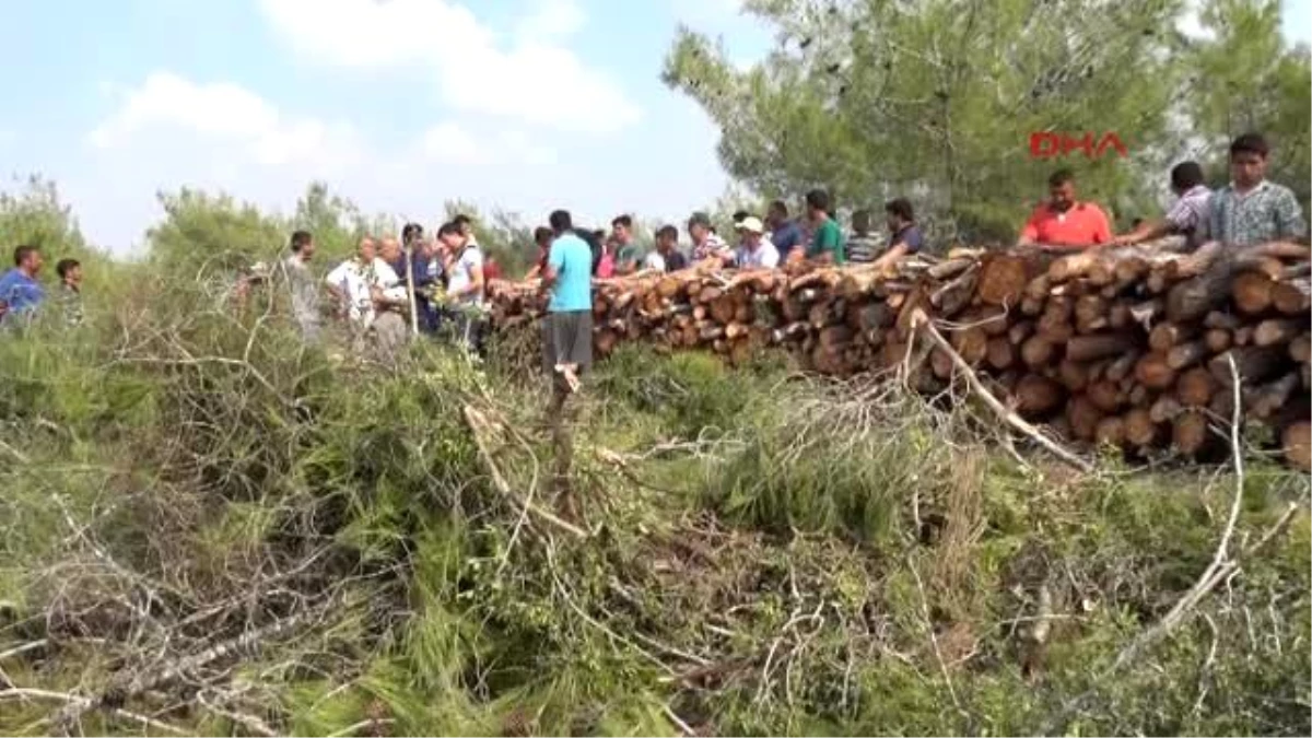 Adana Köylülerden Orman Nöbeti