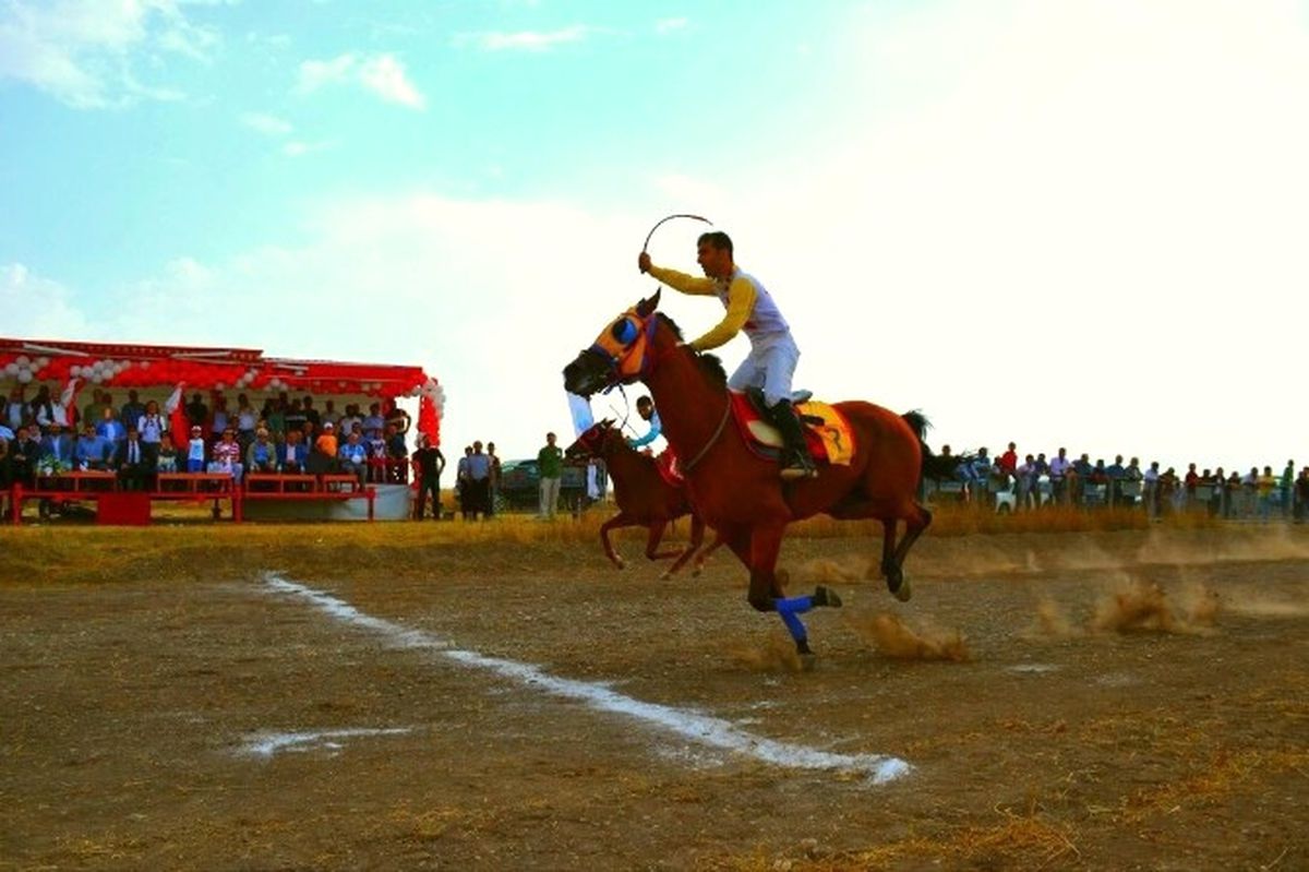 Ağrı\'da At Yarışı