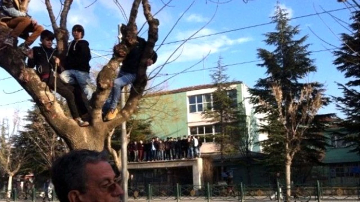 Eskişehir\'de Cezalı Taraftarlar Maçı Ağaç Üstünden Takip Etti