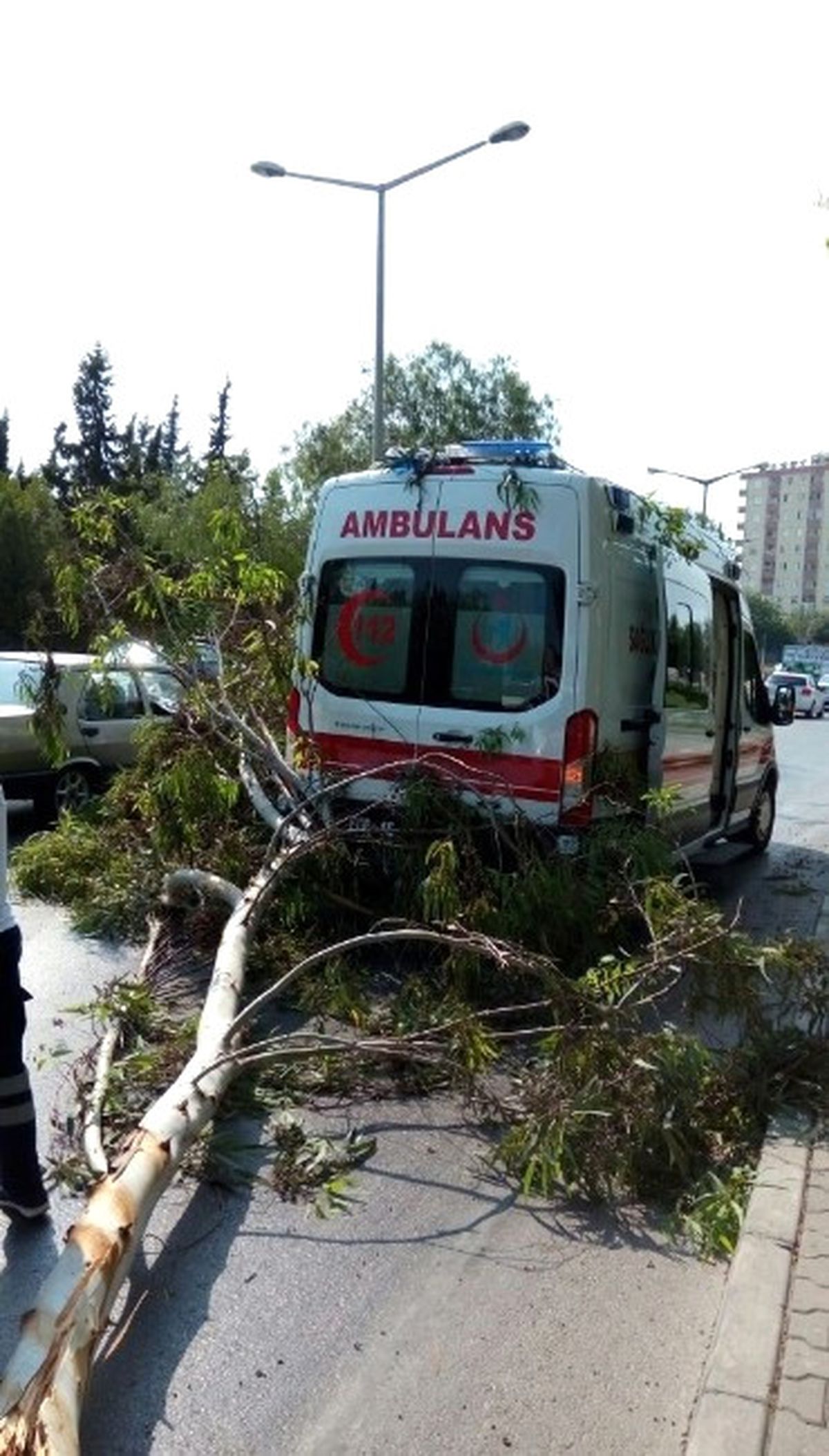 Şiddet Gören Kadını Taşıyan Ambulansın Üzerine Ağaç Devrildi
