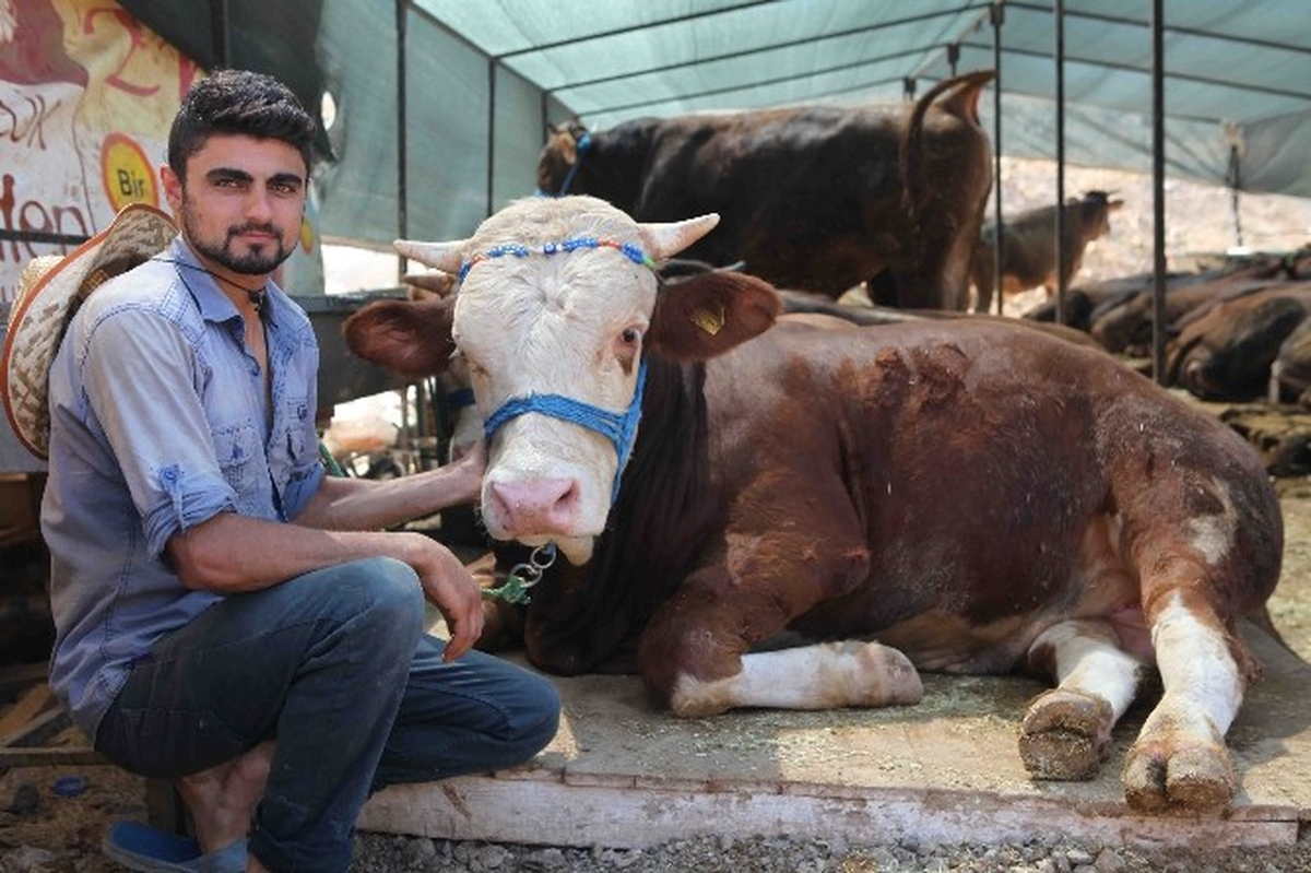 Bayraklı\'da Bayram Hazırlıkları Tamam