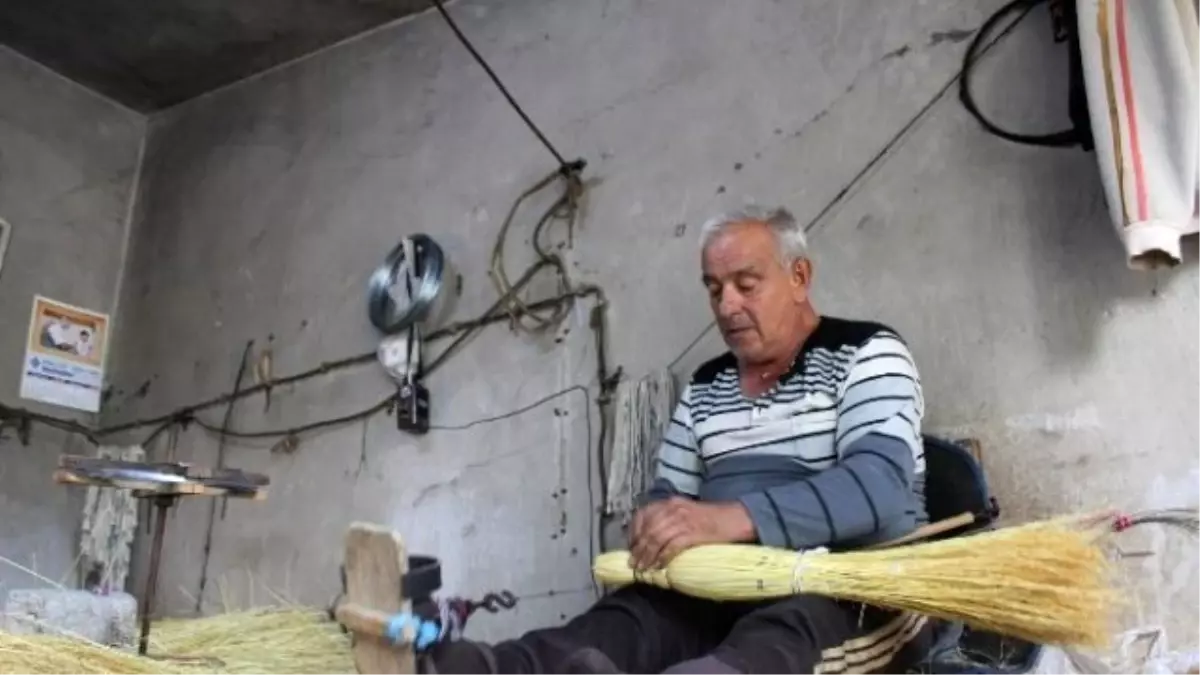 Süpürge Otları Bağlanmaya Başlandı