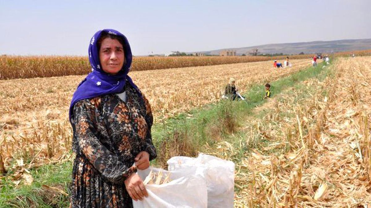 Kavurucu Sıcakta Kış Hazırlığı