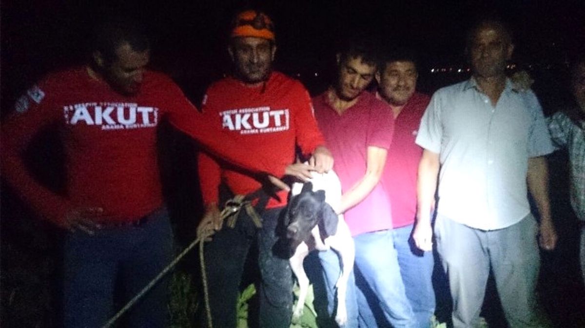 Kuyuya Düşen Av Köpeğini Akut Kurtardı