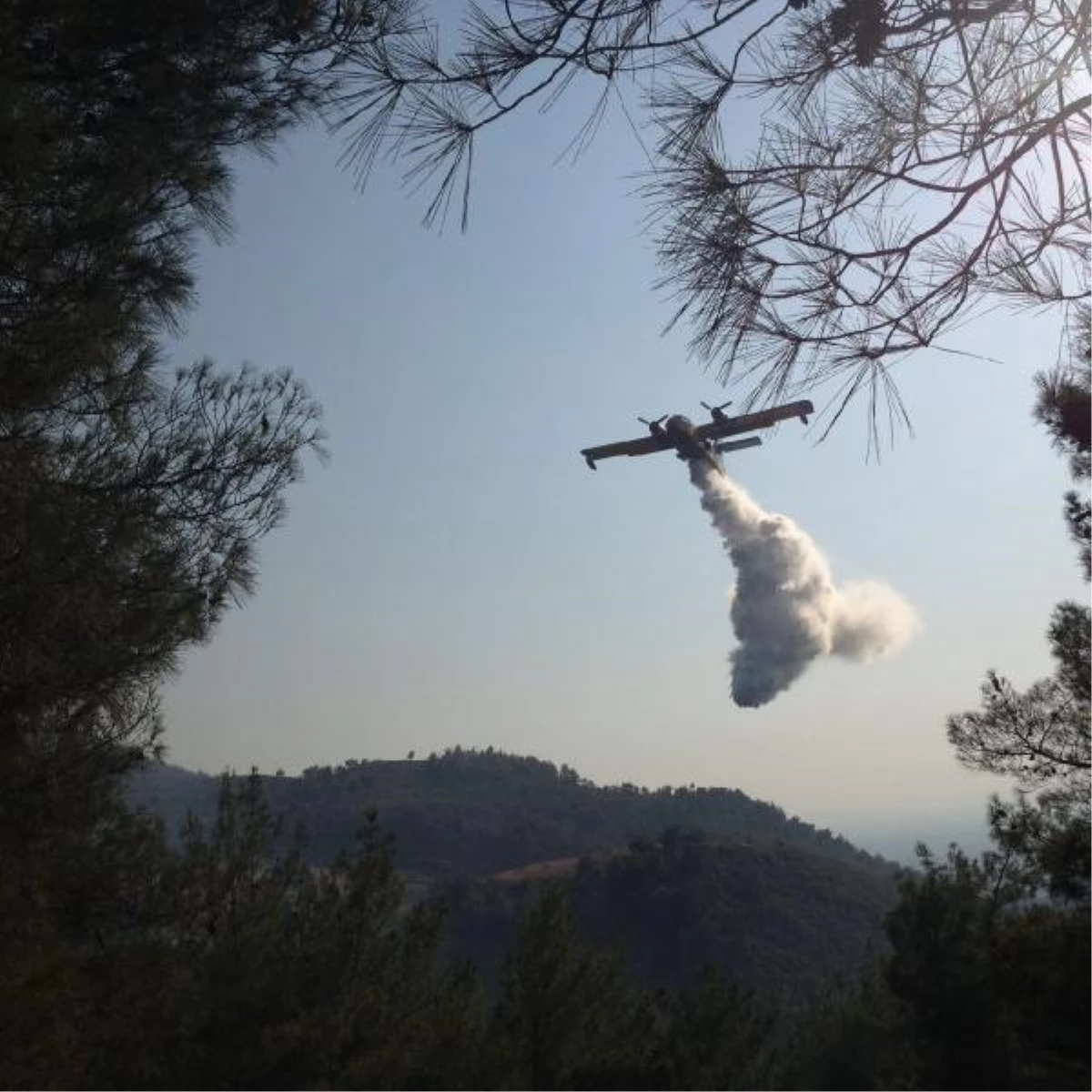 Osmaniye\'de 10 Hektar Kızılçam Ormanı Yandı