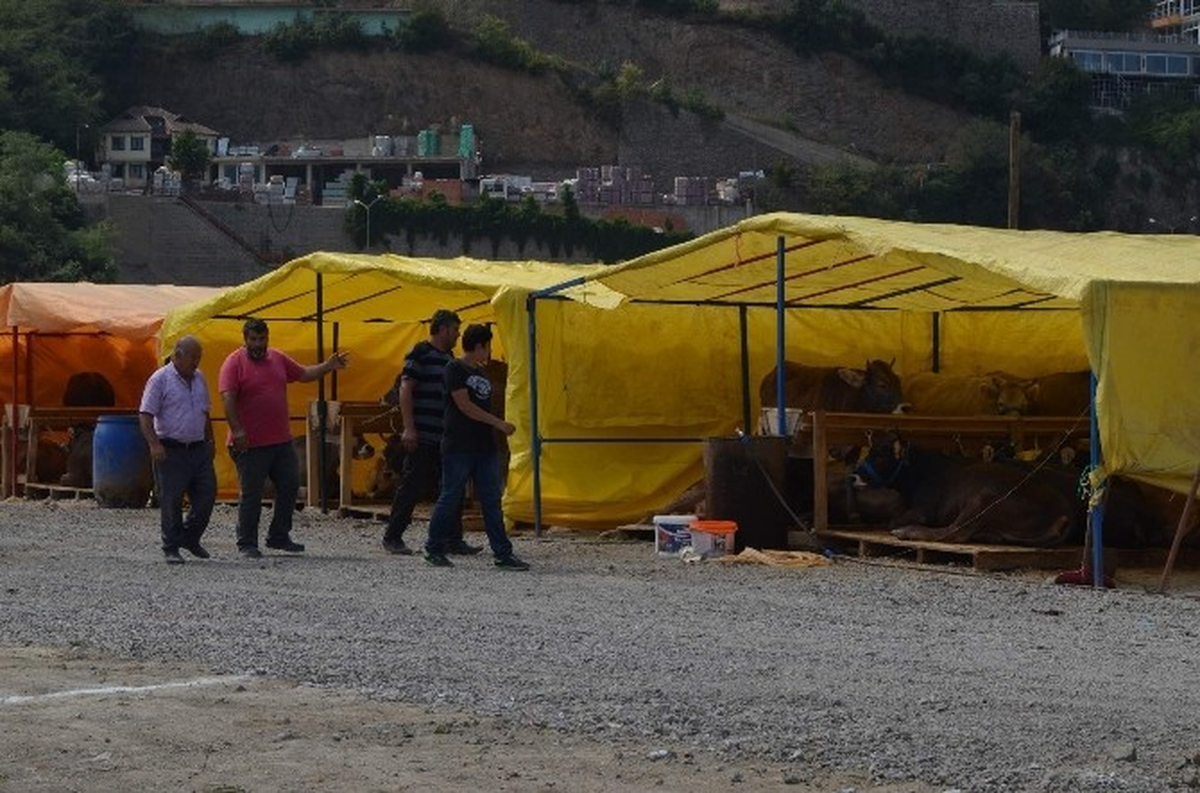 Trabzon\'da Kurbanlıklar Pazara İndi
