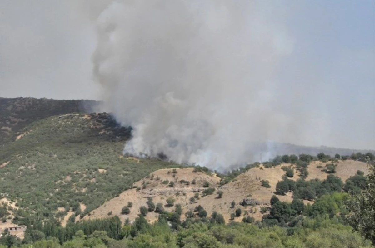 Tunceli\'de Orman Yangınları