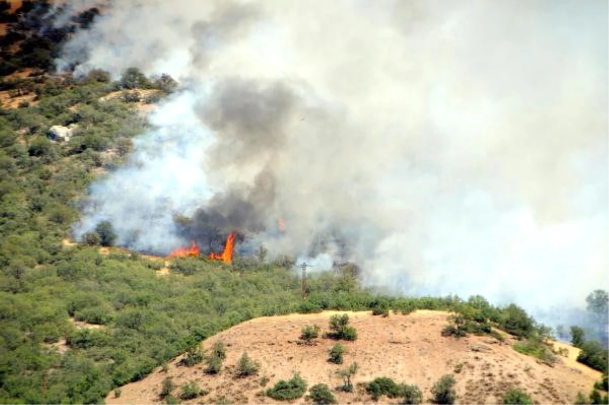Tunceli\'deki Orman Yangını Köyleri Tehdit Ediyor